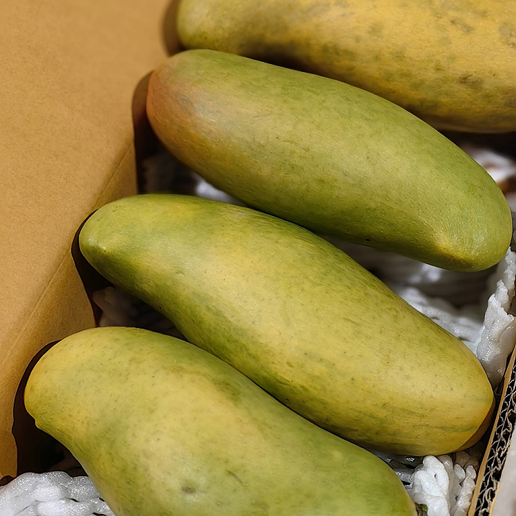 thailand-imported-moon-bay-mango-2pcs-3