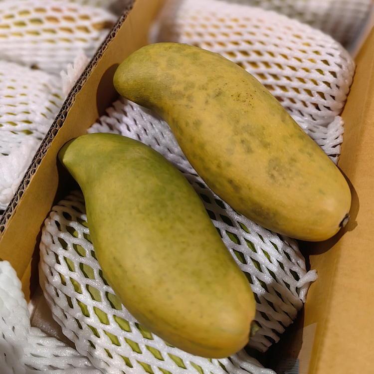 thailand-imported-moon-bay-mango-2pcs-4