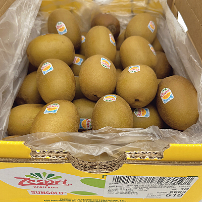 【原箱】新西兰大号黄金奇异果 约5.5kg