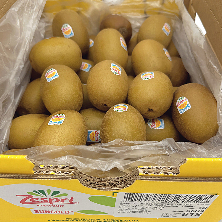 new-zealand-large-golden-kiwi-fruit-approx-55kg-1