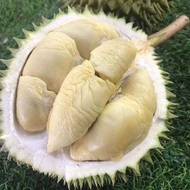 frozen-limited-my-air-freight-fresh-tree-ripened-white-jade-pearl-durian-fruit-meat-400g-1