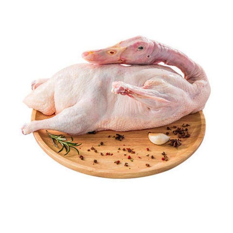frozen-whole-duck-no18-18kg-1
