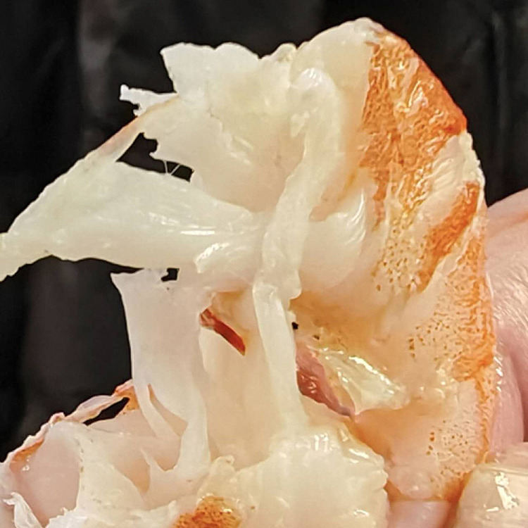 frozen-saudi-arabia-redseapremium-sweet-shrimp-size4145-whole-case-2kg-3