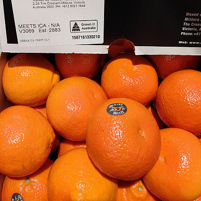 澳洲Dandy Mandy蜜橘 Mandarin 约0.9–1kg