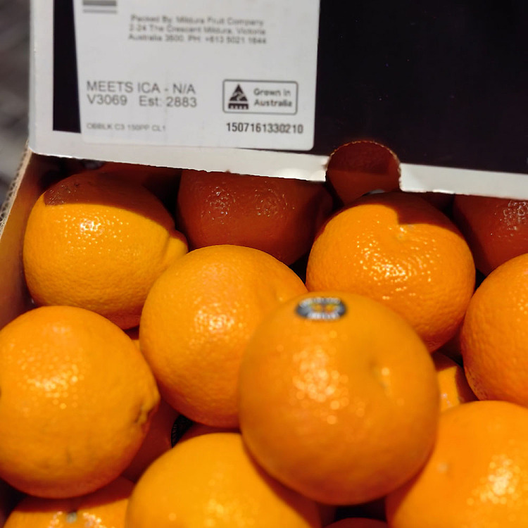 dandymandy-honey-tangerine-approx-900g-2