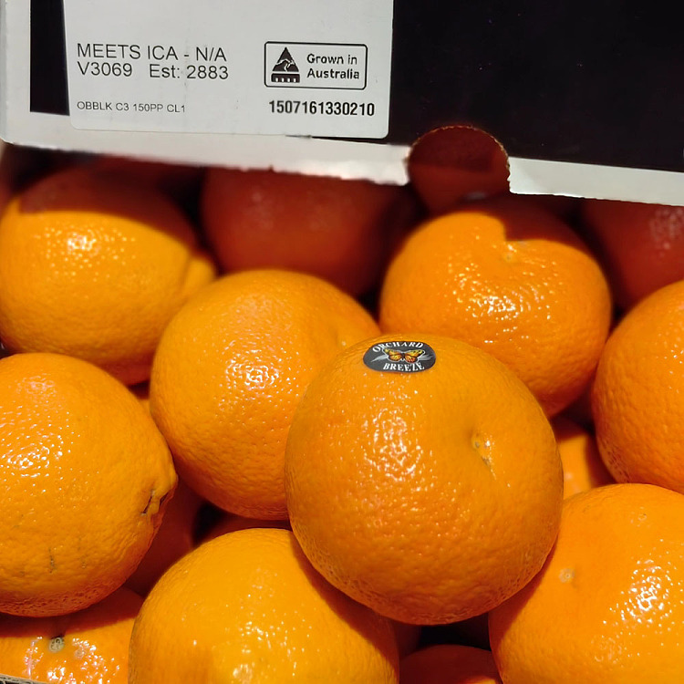 dandymandy-honey-tangerine-approx-900g-3