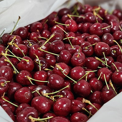 美国空运樱桃 Cherry 9R 约500g