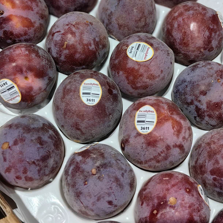 us-airfreight-night-rose-plums-4-pcs-3
