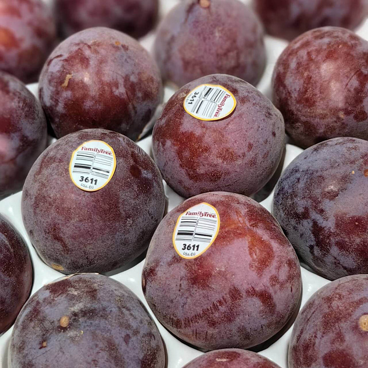 us-airfreight-night-rose-plums-4-pcs-4