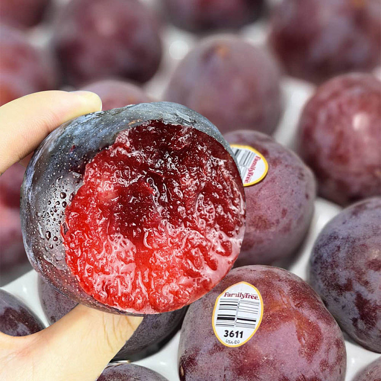us-airfreight-night-rose-plums-4-pcs-1