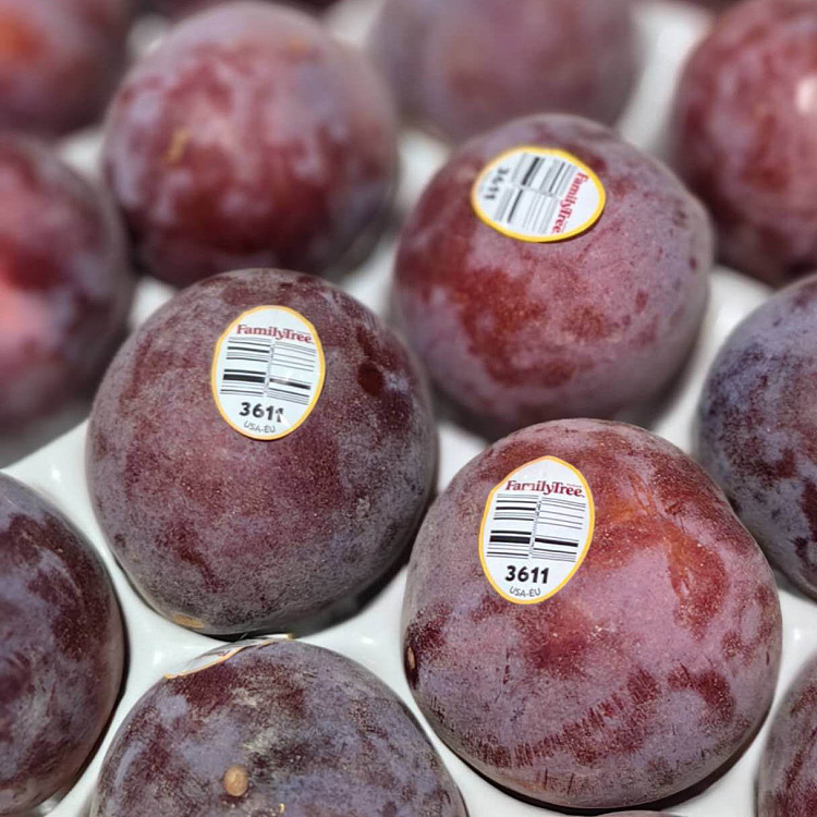 us-airfreight-night-rose-plums-4-pcs-2