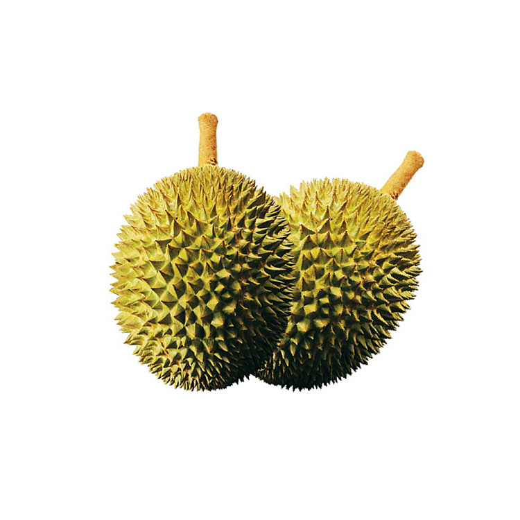 frozen-hernan-elvis-presley-durian-approx-12-14kg-3