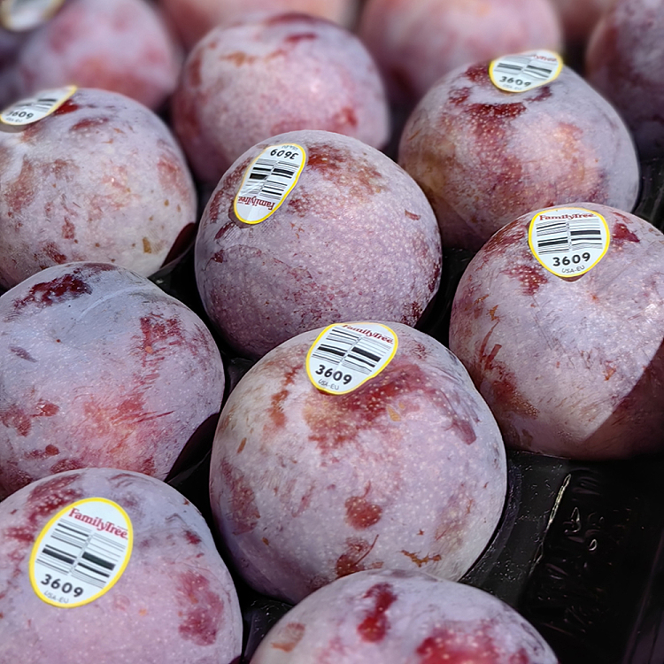 summerpunch-plums-usa-4-pcs-2