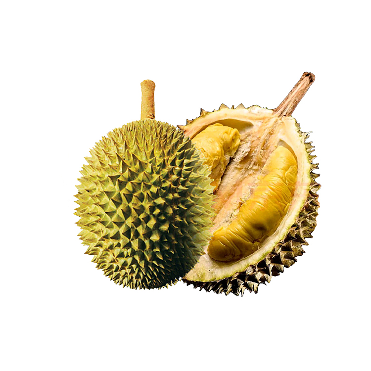 frozen-hernan-elvis-presley-durian-approx-12-14kg-1