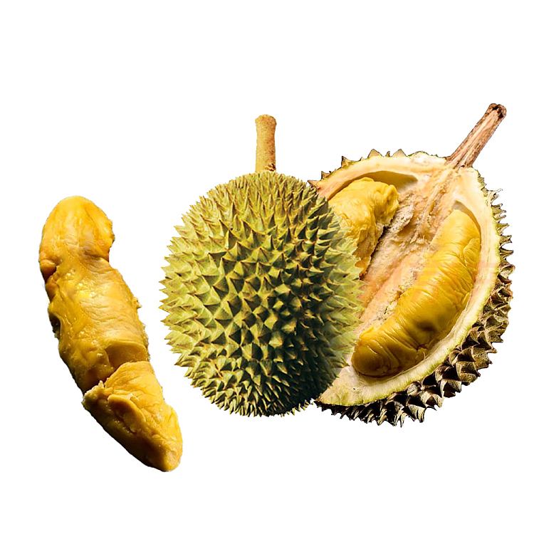 frozen-hernan-elvis-presley-durian-approx-12-14kg-2