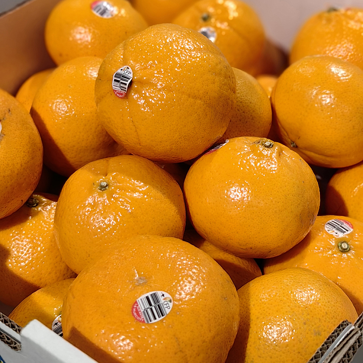whole-box-mogokkan-approx-9kg-2