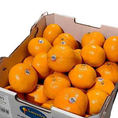 【原箱】澳洲茂谷柑 Murcott Mandarin 约9kg