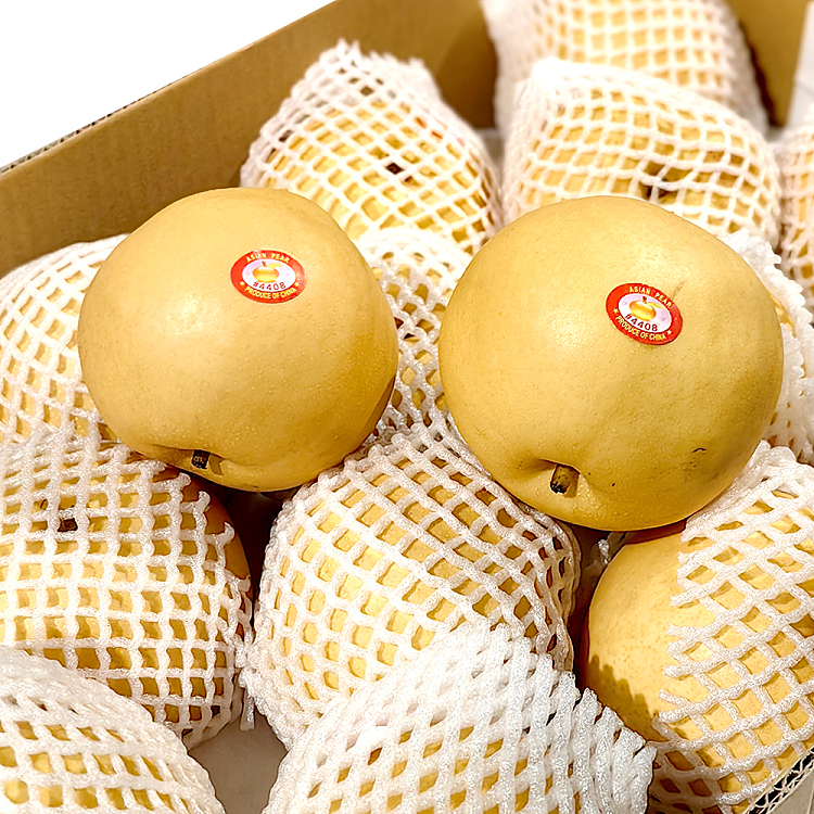 asian-autumn-moon-pear-approx-1-11kg-2