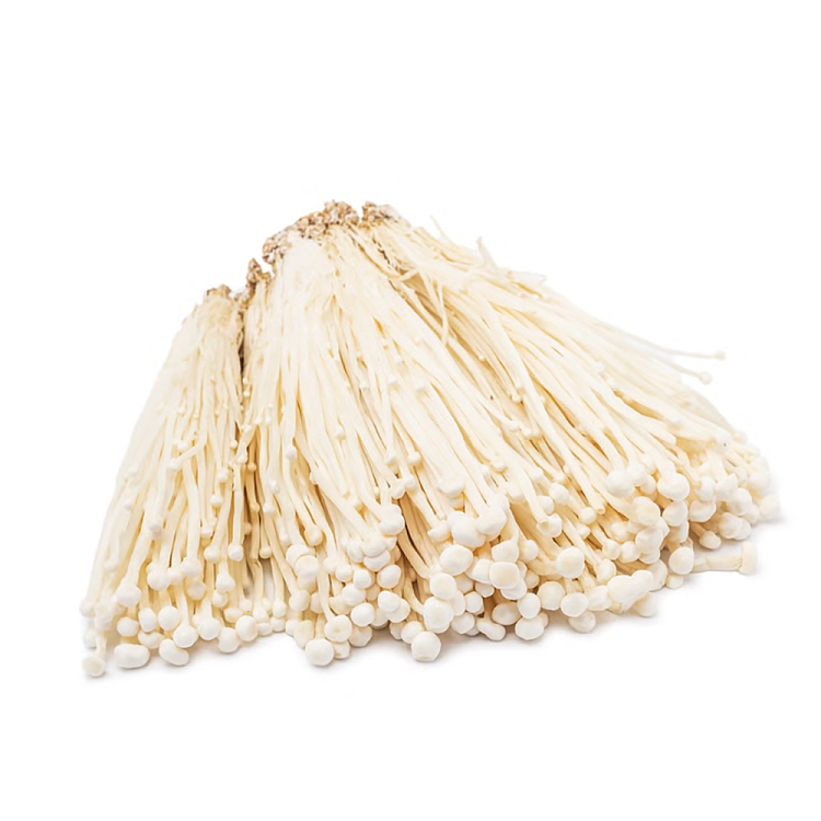 freshumall-self-supporting-golden-needle-mushroom-1-pack-1