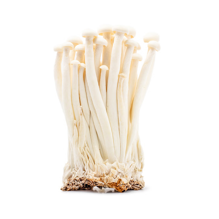 freshumalls-own-seafood-mushrooms-1-package-1