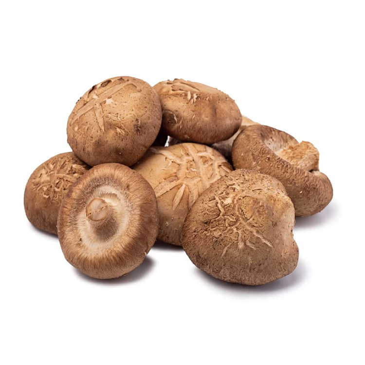 freshumall-self-supporting-winter-mushroom-1-box-1