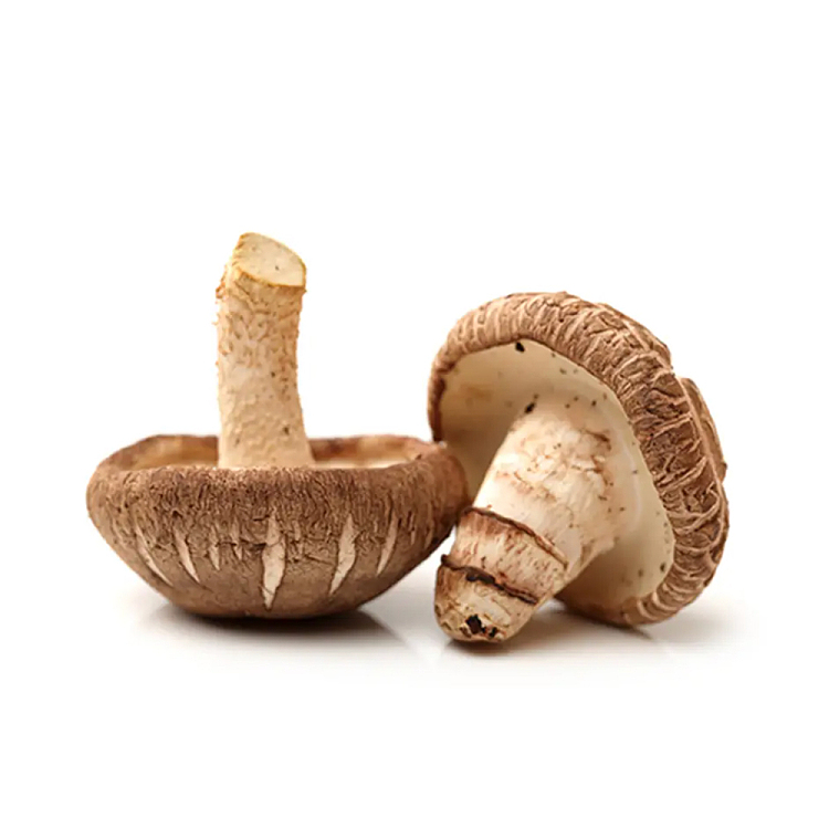 freshmushroom-1-box-about-100g-1