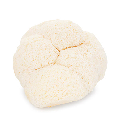 猴头菇 约200g
