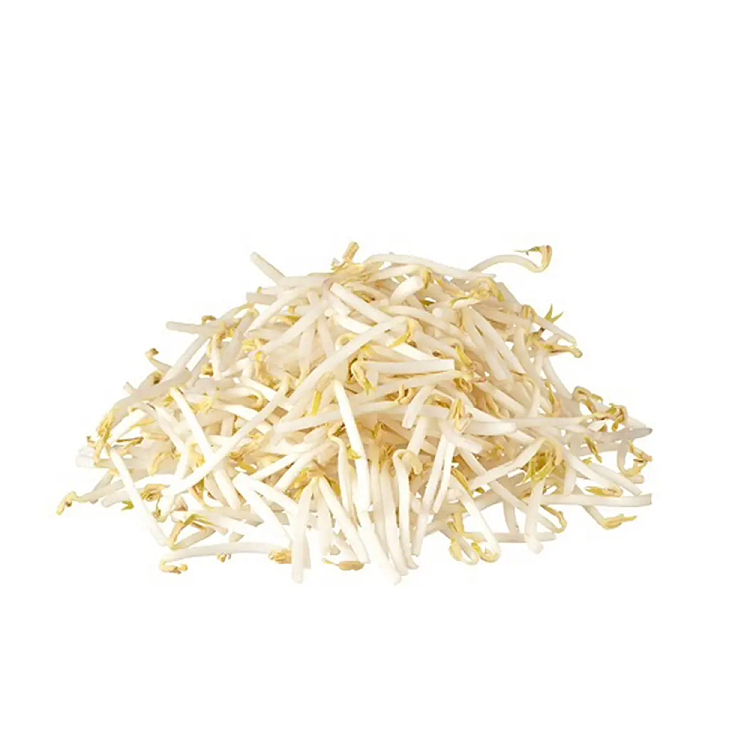 freshabout-400g-of-bean-sprouts-1