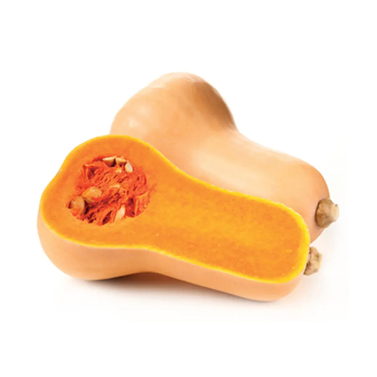 freshumall-own-cream-pumpkin-1pc-1
