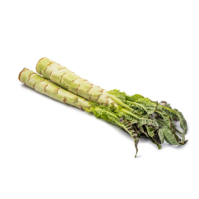 莴笋 Asparagus Lettuce 2–4根
