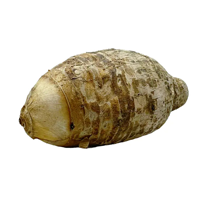 奶芋头 约1kg