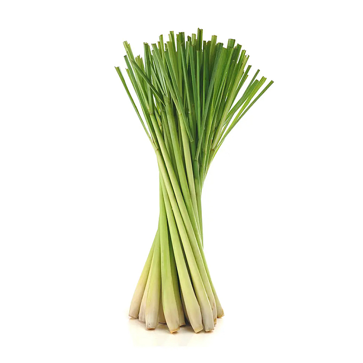 fresh-one-bundle-of-lemongrass-lemon-grass-about-500g-1