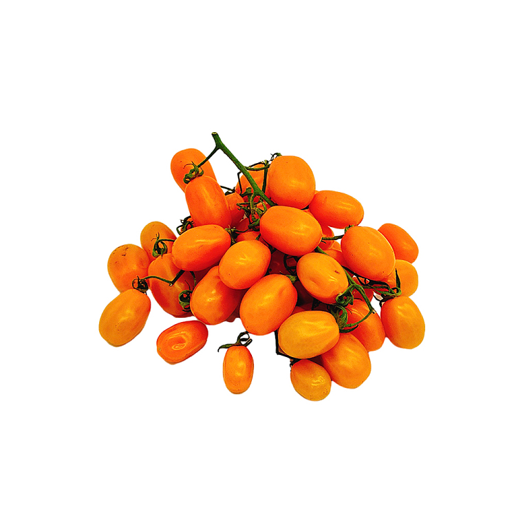 yellow-tomatoes-with-branches-about-500g-1