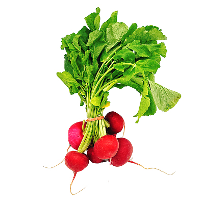 小萝卜仔 Baby Radish 1把