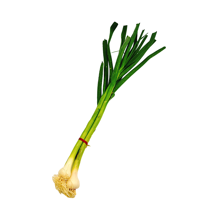 garlic-leaves-green-garlic-1-bundle-1