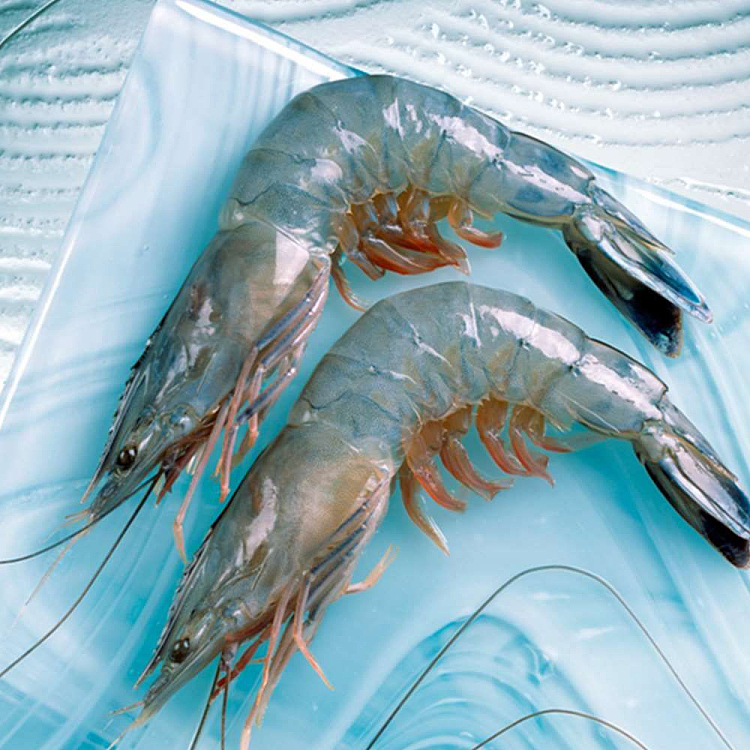 frozen-paradise-prawns-large-size26-30-sashimi-grade-whole-box-1kg-1