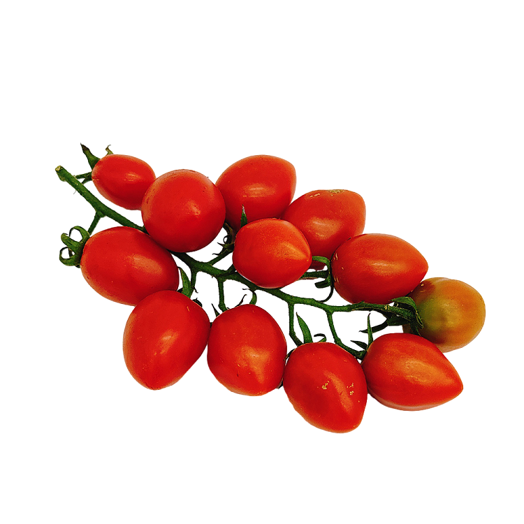 box-grape-tomatoes-with-stem-5kg-2