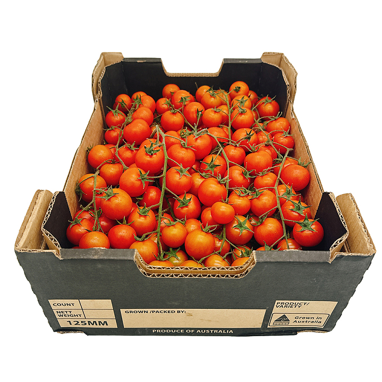 sweet-cherry-tomatoes-on-branch-500g-3