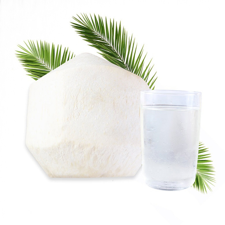 freshumall-self-supporting-white-box-kulaway-coconut-green-1pc-1