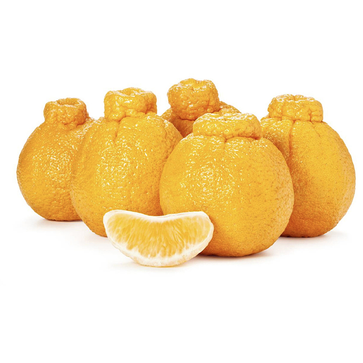ugly-orange-1