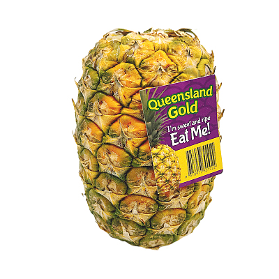 澳洲昆州菠萝 Pineapple 1个