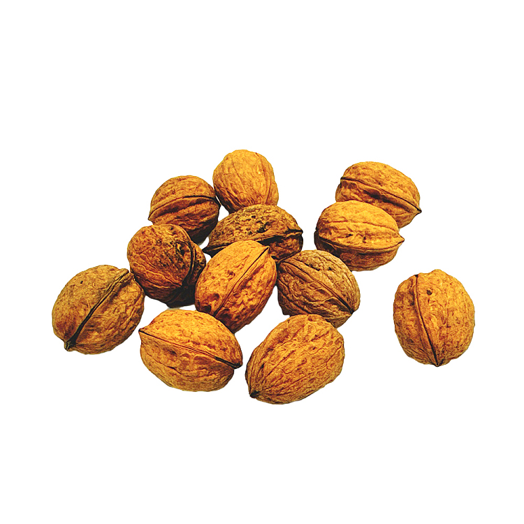 approx-500g-of-walnuts-with-paper-skin-2