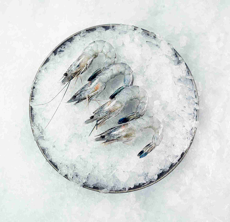 paradise-shrimp-jumbo-size26-30-sashimi-grade-gift-box-1kg-3