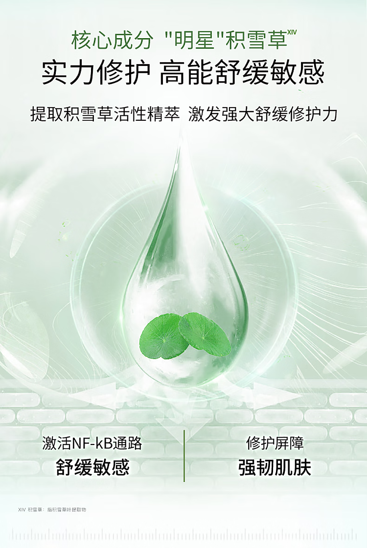 tamasawa-centella-asiatica-rejuvenating-mask-6pcs-11