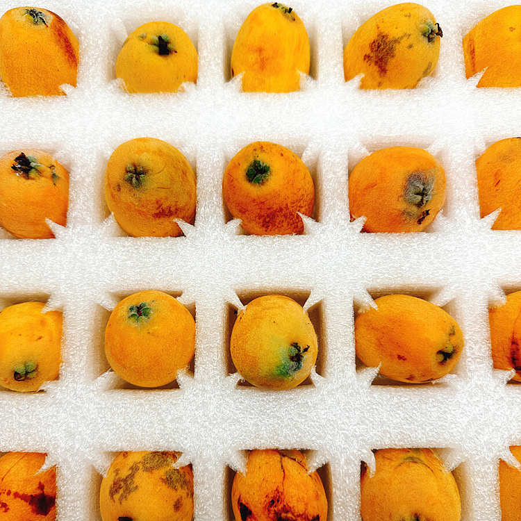 taylor-loquat-l-gift-box-approx-1kg-3