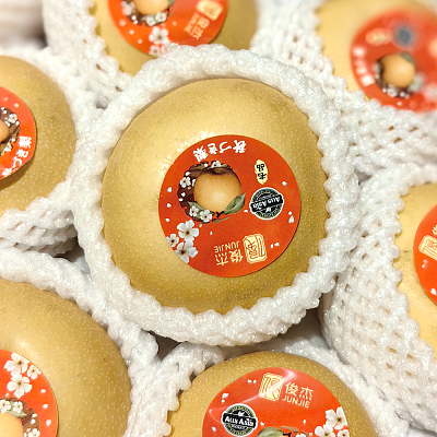 中国俊杰秋月梨 Akizuki Pear 1个