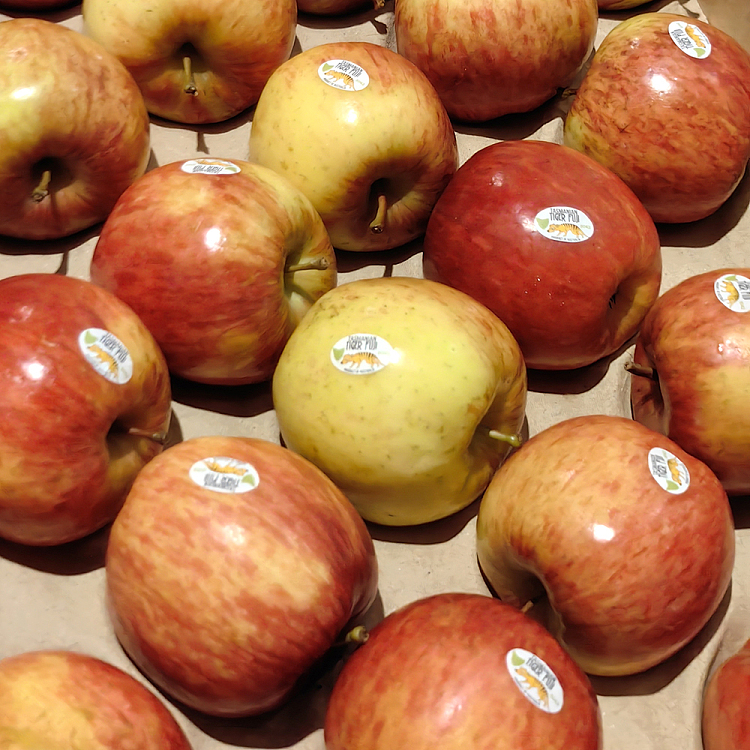 tasmanian-tiger-fuji-apples-1-11kg-3