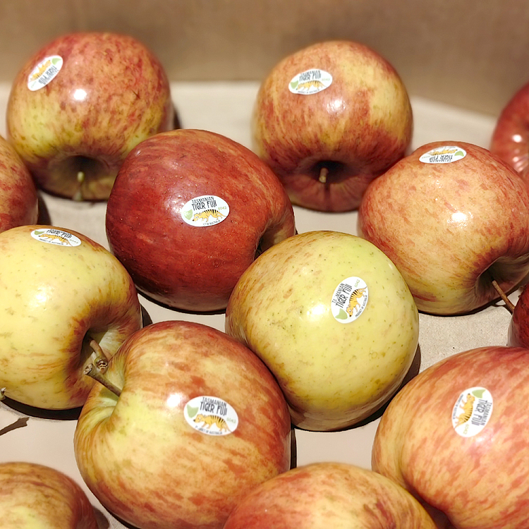 tasmanian-tiger-fuji-apples-1-11kg-4