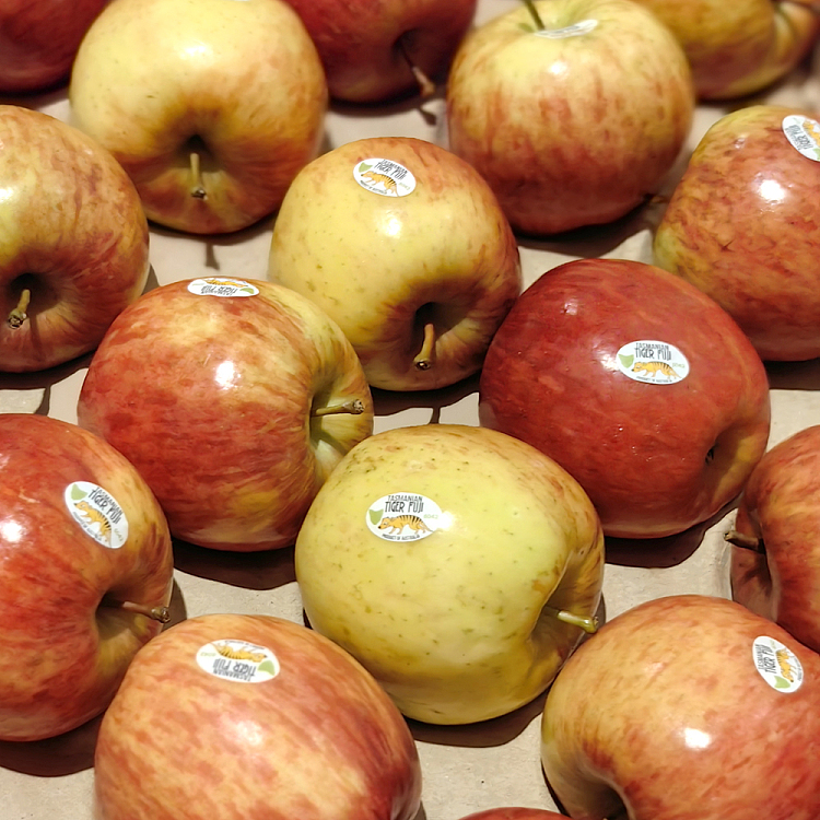 tasmanian-tiger-fuji-apples-1-11kg-2