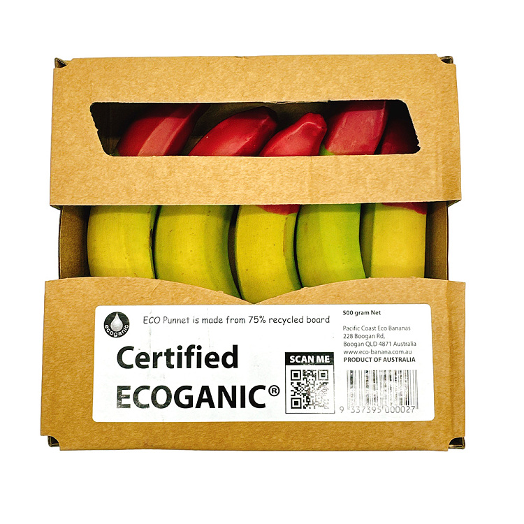 freshorganic-millet-plantain-1-box-about-500g-1